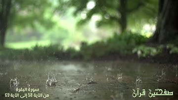 ورد اليوم الرابع - سورة البقرة من الآية 58 إلى الآية 69