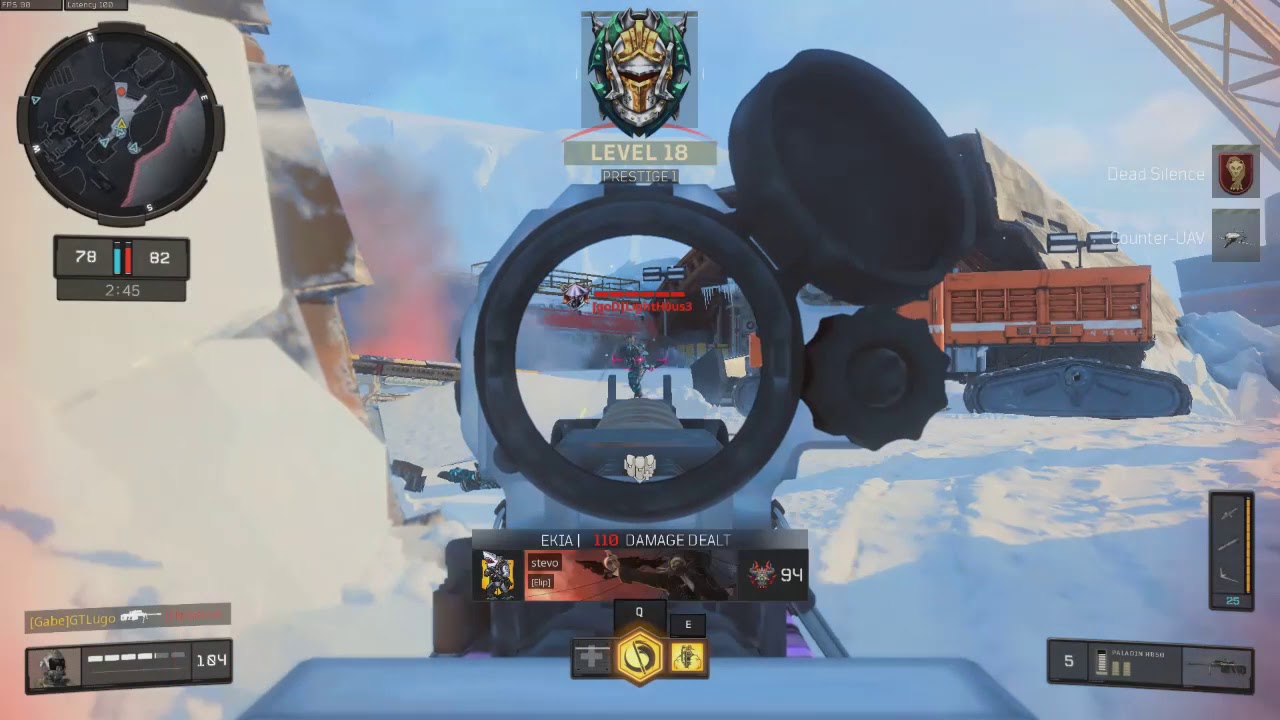 [Call of Duty: Black Ops 4] Paladin Gold Camo