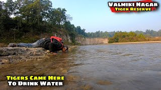 Tigers Came Here To Drink Water | Valmiki Nagar Ep - 2 | Syed Saheb Ali Vlogs | Matargashti