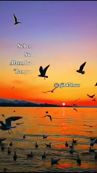 wah dana dan na.story wa #storywa#literasi#Quotes#keren