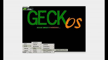 DEMO GECKOSMINI.avi