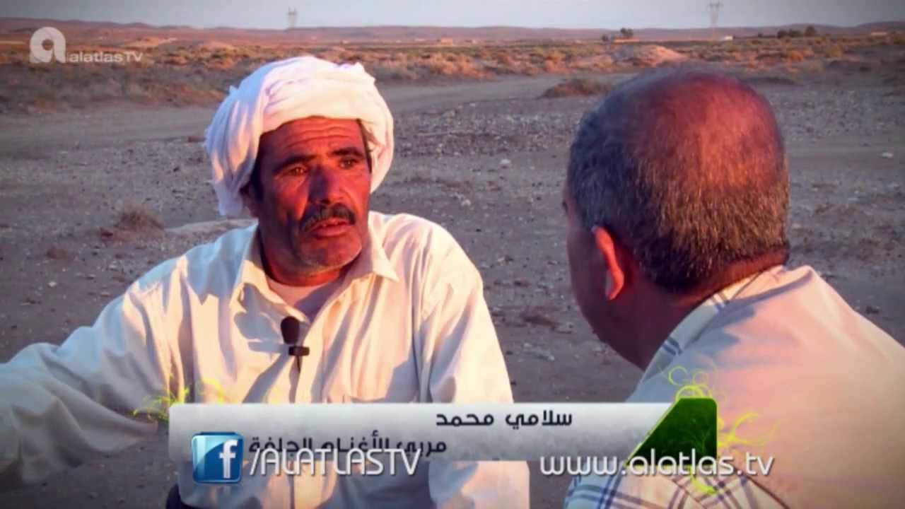 الجزائر : الأخضر الدائم، الثروة الحيوانية الجزائرية و تربية الأغنام في ولاية الجلفة