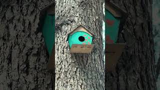 İphone 14 Pro Max Test Video Azerbaijan Samir Arifoglu