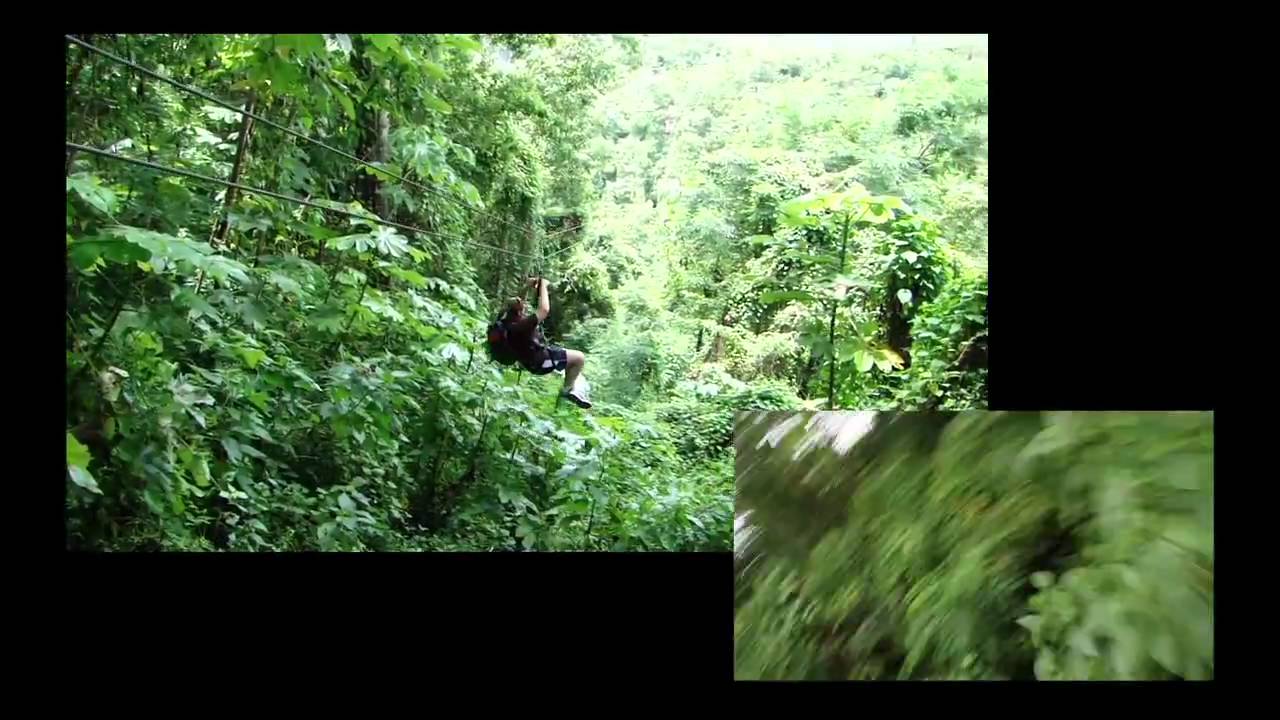 Zip Line in Negril, Jamaica by B&B Multi Productions. YouTube
