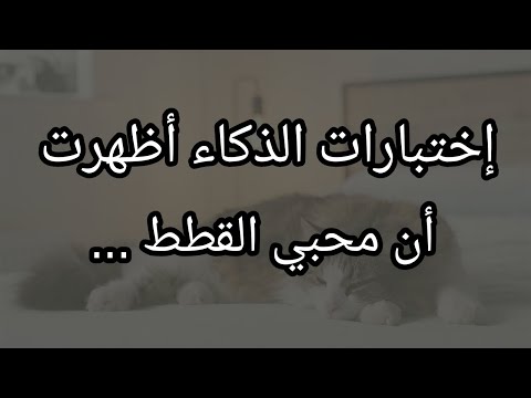 فيديو: حقائق مثيرة للاهتمام: كيف ظهر تعبير 