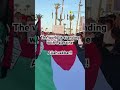 Solidarity #savepalestine #doa #win #shorts #viral #world #fight