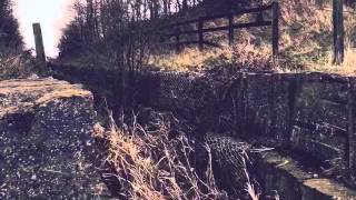 Horton Bank Country Park Adventure