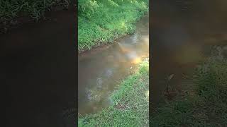 #NatureLover #Serenity #PeacefulVibes #RiverFlow #Sunlight #Mindfulness #HealingNature #NatureShorts