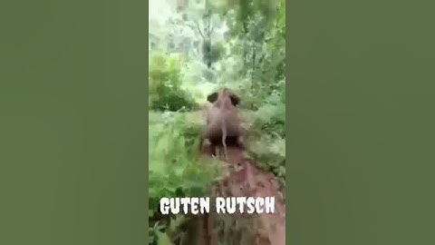 🎆Guten Rutsch🎇