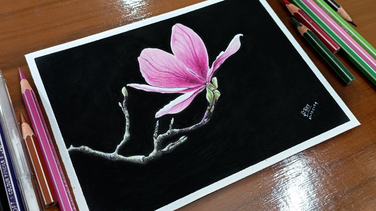 Realistic & Easy Colour Pencil Drawing Tutorial For Absolute Beginners ...