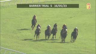 16 MAY 2023 BARRIER TRIAL 5