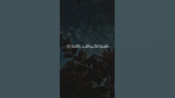 تلاوة خاشعة جميلة بصوت القارئ ماهر المعيقلي🤍🎧#قرآن #قران_كريم #اكتب_شي_تؤجر_عليه #لايك #اكسبلور