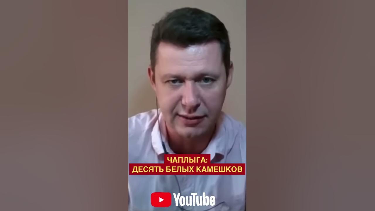 Чаплыга последнее интервью шелестом. Чаплыга последнее интервью шелестом