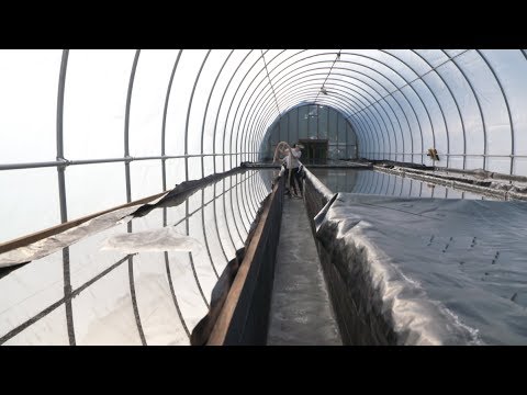 Reviving a family business built around salt iowa realty