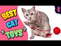 🪀Best Cat Toys | The Correct Way to Use Them | Furry Feline Facts