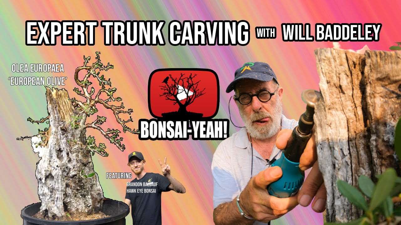 European Olive Trunk Carving w/ Will Baddeley - Bonsai-YEAH!
