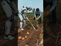 रोबोट और किसान की खेती #PotatoHarvest #RobotFarming #SmartFarming #किसानी