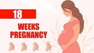 18 Weeks Pregnant Symptoms - Baby Moving and Baby Size in Womb