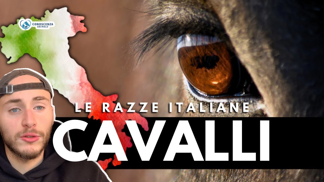 CAVALLI ITALIANI: tutte le razze certificate