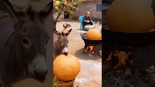 #funny #comedy #fun #wait #2025 #cat