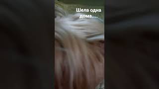 Шела за роликом заснула...