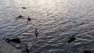 3 July 2022 20220117_202925.mp4