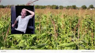 R.E.M -- Losing my Corn