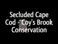 Secluded cape cod  coys brook conservation