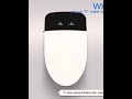 smart toilet