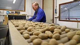 The Seed Potato Story | What goes on behind closed doors | VHM Machinery