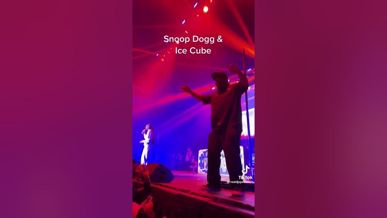 #SnoopDogg performing “2 Of America’s Most Wanted” with #IceCube at the Mount Westmore concert