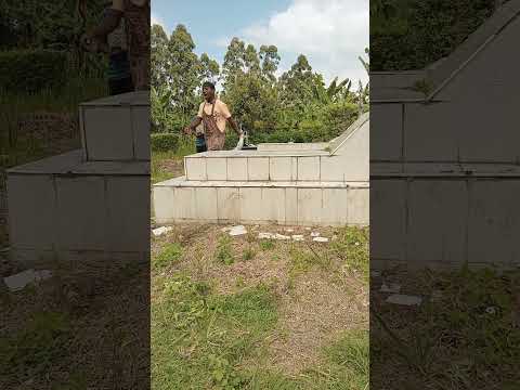 NISHIKE MKONO Makabulini Makabulini Makabuli Makaburi AMI TZ Kiparabrand Clamvevo Funny