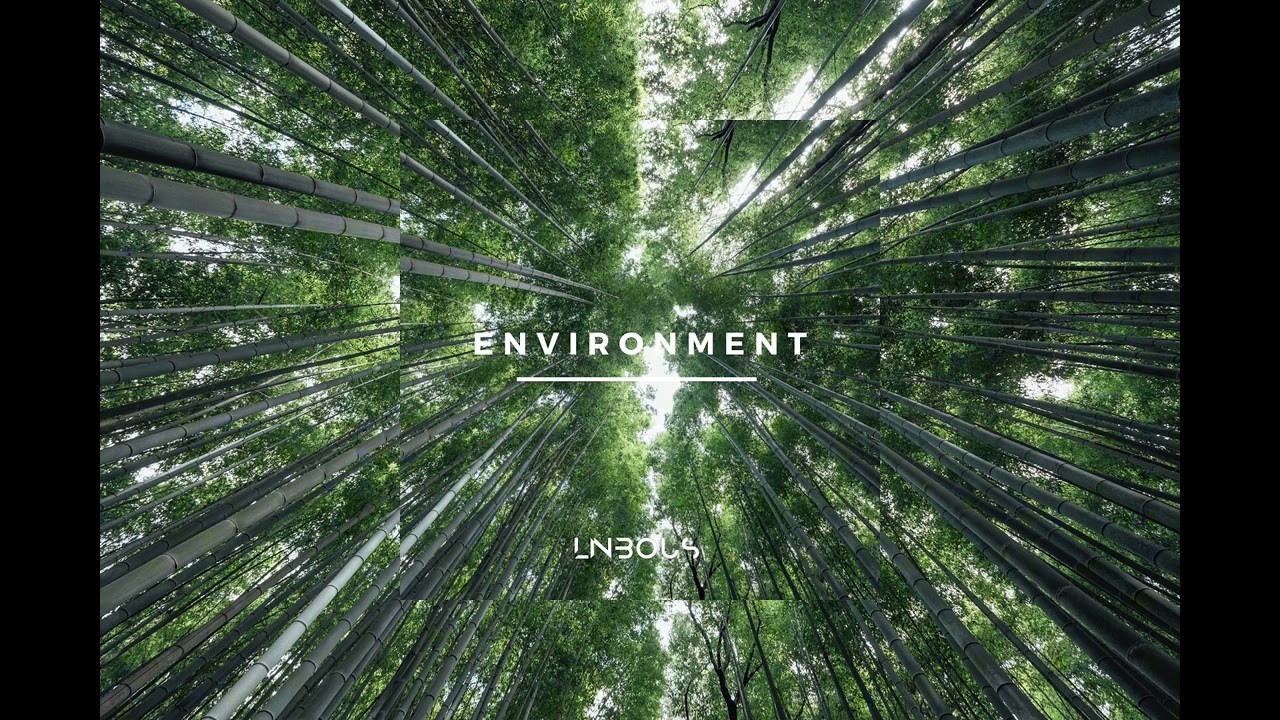YouTube에서 Linbous - Environment (Official Song) 보기 YouTube에서 Linbous - Environment (Official Song) 보기