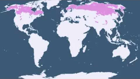 Climates of the Earth - DayDayNews