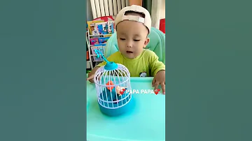 بابا يا بابا 