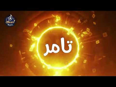اغنية اسم تامر اغنية باسمك