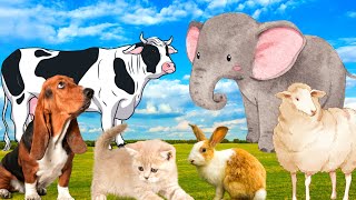 Farm animal colors - Cow, Dog, Rabbit, Sheep, Pig - Animal moments by Animal Moments 51,925 views 1 year ago 8 minutes, 41 seconds