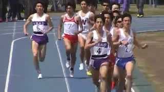 20140412 日体大長距離競技会男子1500m15組