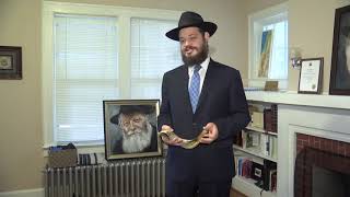 LEX 18 Digital: Rosh Hashanah Greetings