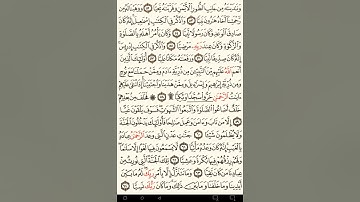 ماهر المعيقلي سورة مريم مكتوبة صفحة 309 مصحف المدينة المنورة جودة عالية