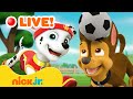 🔴 LIVE: PAW Patrol Sports Rescues &amp; Adventures! ⚽️ w/ Chase &amp; Marshall | Nick Jr.