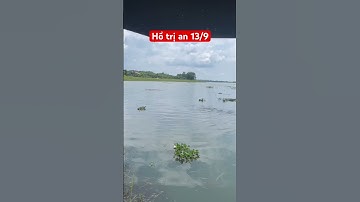 Câu cá hoàng đế hồ trị an mùa nước lên 2025