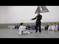 Gui Mendes Seminário Em São Paulo (Parte 2) | artofjiujitsu.com