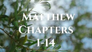 The Book of Matthew Chapters 1-14 TPT