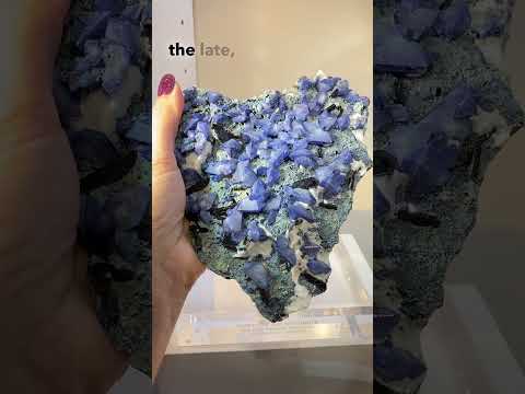 MASSIVE plate of Benitoite Crystals