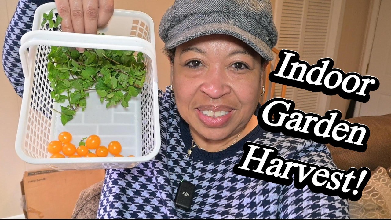 What Is AMAZING About Hydroponics Harvest?