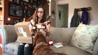 Unboxing our February BarkBox