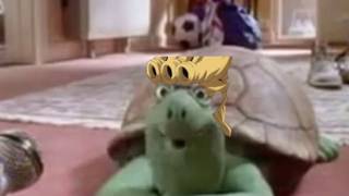 Giorno the Turtle!
