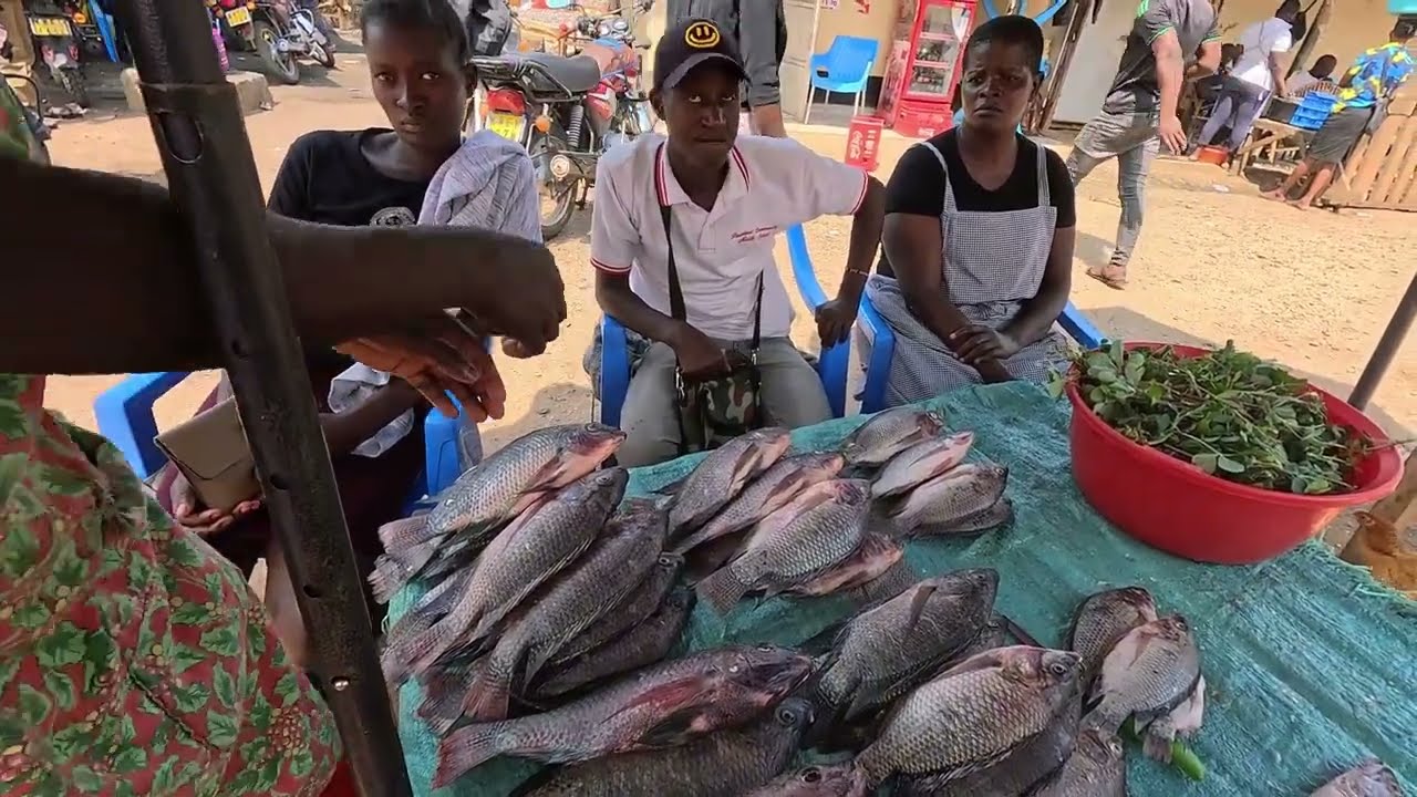 THE FISH FULL MARKET!! BY Aggy.#fish.#homabay #fishspecies #Adventure.