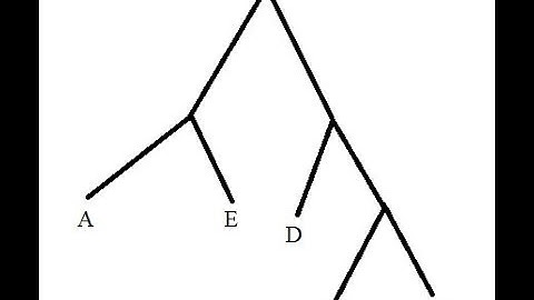 Finding the Distance Matrix for Constructing a Phylogenetic Tree
